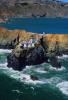 Point Bonita Lighthouse, Marin Headlands, Marin County, California, Pacific Ocean, West Coast, TLHV04P09_13B