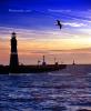 Buffalo Main Lighthouse, Lake Erie, New York State, Great Lakes, TLHV05P01_16