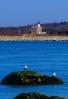 Plum Island Lighthouse, Long Island, New York State, Atlantic Ocean, Eastern Seaboard, East Coast, TLHV06P06_01B