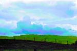 Fence in the Field, Clouds, Hills, Sonoma County, TMKPCD0661_065B