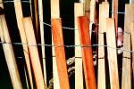 Wooden Fence, TMKV01P03_16