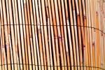Reed Fence Texture, TMKV01P03_18