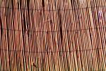 Reed Fence Texture, TMKV01P04_01