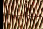 Reed Fence Texture, TMKV01P04_02