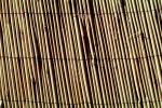 Reed Fence Texture, TMKV01P04_04