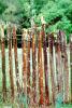 Old Wooden Fence, Lichen, TMKV01P05_15