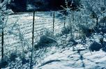 Snowy Fence, TMKV01P07_18