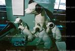RCA Victor Dogs, Nipper, Chipper, statues, Phonograph, TMRV01P09_02