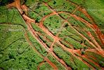 Erosion, Tire Tracks, off-road vehicles, mountain, rain forest, TODV01P01_19.1714