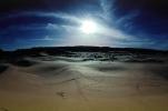 Tiretracks, Sand Dunes, TODV01P03_17