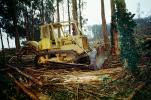Fiat-Allis, Bulldozer, Log Grabber, Debris Loader, Clear Cut, Clearcut, tree cutting, Eucalyptus, TODV01P05_12