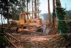 Fiat-Allis, Bulldozer, Log Grabber, Debris Loader, Clear Cut, Clearcut, tree cutting, Eucalyptus, TODV01P05_14.1714