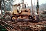 Fiat-Allis, Bulldozer, Log Grabber, Debris Loader, Clear Cut, Clearcut, tree cutting, Eucalyptus, TODV01P05_15