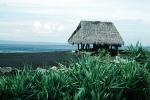 Thatched Hut, grass roof, beach, ocean, sand, Bali, Indonesia, building, Sod