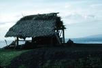 Thatched Hut, grass roof, beach, ocean, sand, Bali, Indonesia, building, Sod, TOEV01P10_14