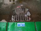 Drainage Grill, Water Pollution, Contamination, Storm Drain, water, TOPD01_003