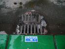 Drainage Grill, Water Pollution, Contamination, Storm Drain, water, TOPD01_004