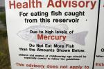 Health Advisory for eating fish, Mercury, Water Pollution, Contamination, TOPD01_016