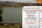 Health Advisory for eating fish, Mercury, Water Pollution, Contamination, TOPD01_017