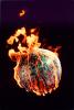 Global Warming, Earth, Globe, Ball, The World Ablaze, Burning Globe, flames, fire, circle, round, Climate Change, circular