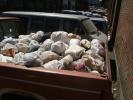 Trash Bin, Plastic Bags, Van