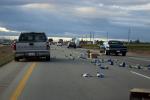 Trash Spill, US Highway 101, south of Salinas, TORD01_030