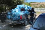 Pickup truck filled with trash bags, TORD01_037