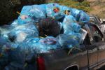 Pickup truck filled with trash bags