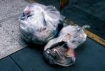 trash bags, TORV01P09_07
