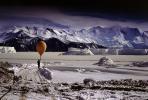 Antarctic Weather Balloon, Ice, Snow, Cold, TOWV01P10_01