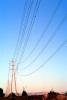 Transmission Lines, Powerline, Powerpole, TPDV02P08_02