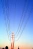 Transmission Lines, Powerline, Powerpole, TPDV02P08_03