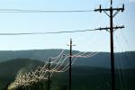 Susanville, Transmission Lines, Powerline, Powerpole, TPDV02P12_17