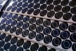 Photovoltaic Solar Cells, TPSV01P06_04