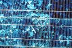 Photovoltaic Solar Cells, TPSV01P09_04