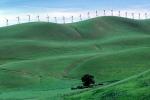 Green Hills, Altamont Pass, California, TPWV01P03_02