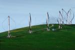Darrieus Wind Turbine, Altamont Pass, California, TPWV01P03_17