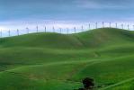 Green Hills, grass, winter, Altamont Pass, California, TPWV01P03_19.1716