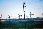 Wind farms, Altamont Pass, TPWV01P05_17B