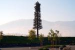Disguised Cellular Phone Tower, Tree, Grapevie California, TRAD01_095