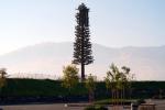 Cell Phone Tower, disguised as a Tree, Grapevine, TRAD01_113