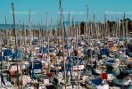 Docks, Harbor, Marina, Dana Point, California, TSCV02P07_18.2021