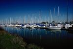 Docks, Harbor, Marina, Coyote Point Yacht Club, Coyote Point