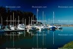 Docks, Harbor, Marina, Coyote Point Yacht Club, Coyote Point, TSCV02P08_13.2021
