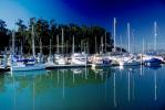 Docks, Harbor, Marina, Coyote Point Yacht Club, Coyote Point, TSCV02P08_14.1716