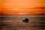 sunrise, Sea of Cortez, boat, Los Barriles, Mexico, TSCV02P09_08.2021