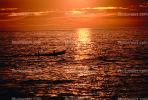 sunrise, power boat, Sea of Cortez, Los Barriles, TSCV02P12_09.2022