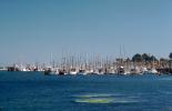 Spud Point, Marina, Docks, harbor, Bodega Bay, TSCV03P04_10.2022