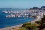Spud Point, Marina, Docks, harbor, Bodega Bay, TSCV03P04_11.2022