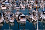 Dock, Marina, harbor, TSCV03P06_03.1717